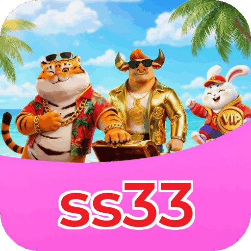 Interface ss33